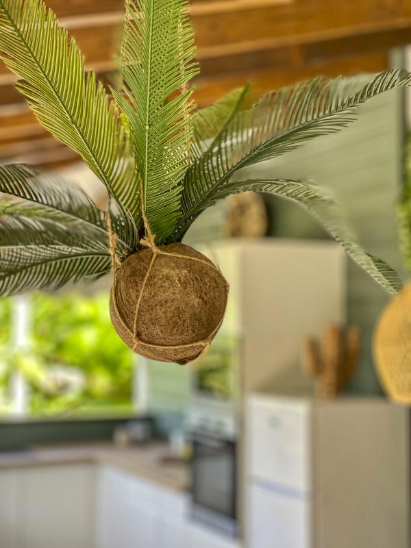 Location Villa Pointe Noire Guadeloupe-decoration-18